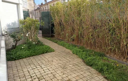 Location Bordeaux Appartement 69f20b4f4d1d