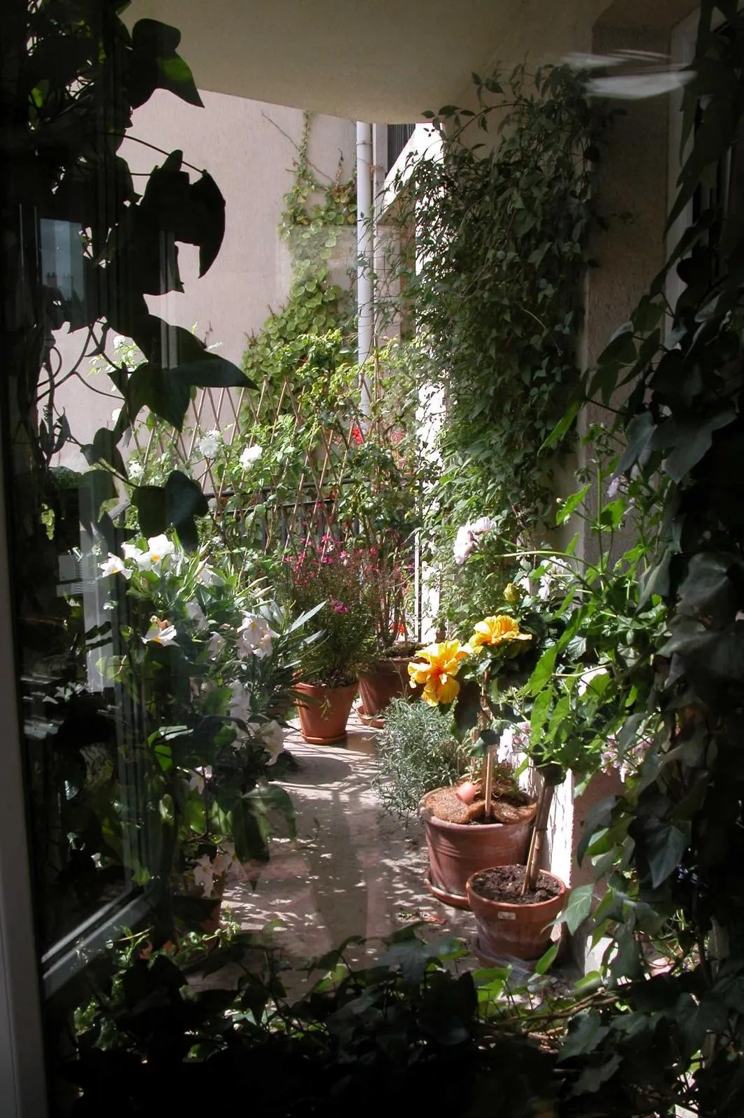 Location Paris Appartement 69fa11424912