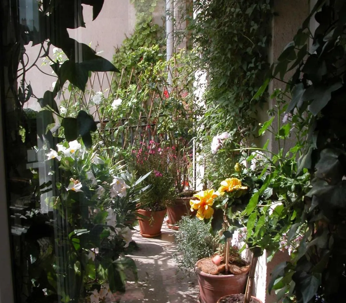 Location Paris Appartement 69fa11424912