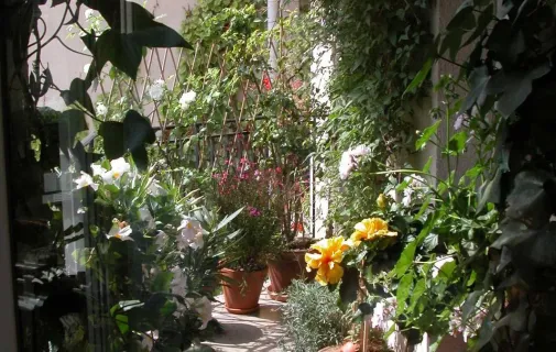 Location Paris Appartement 69fa11424912