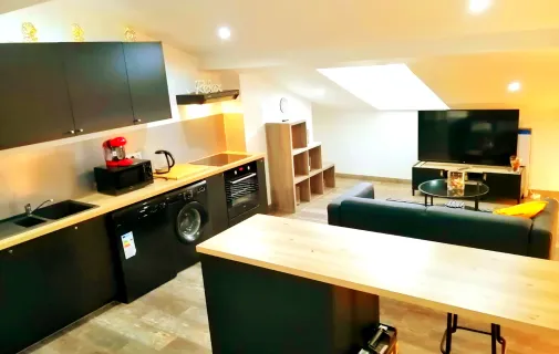 Location Saint-Étienne Appartement 69fa28746eaf