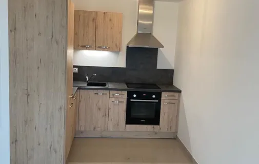 Location Ferney-Voltaire Appartement 69fa3bd624f8