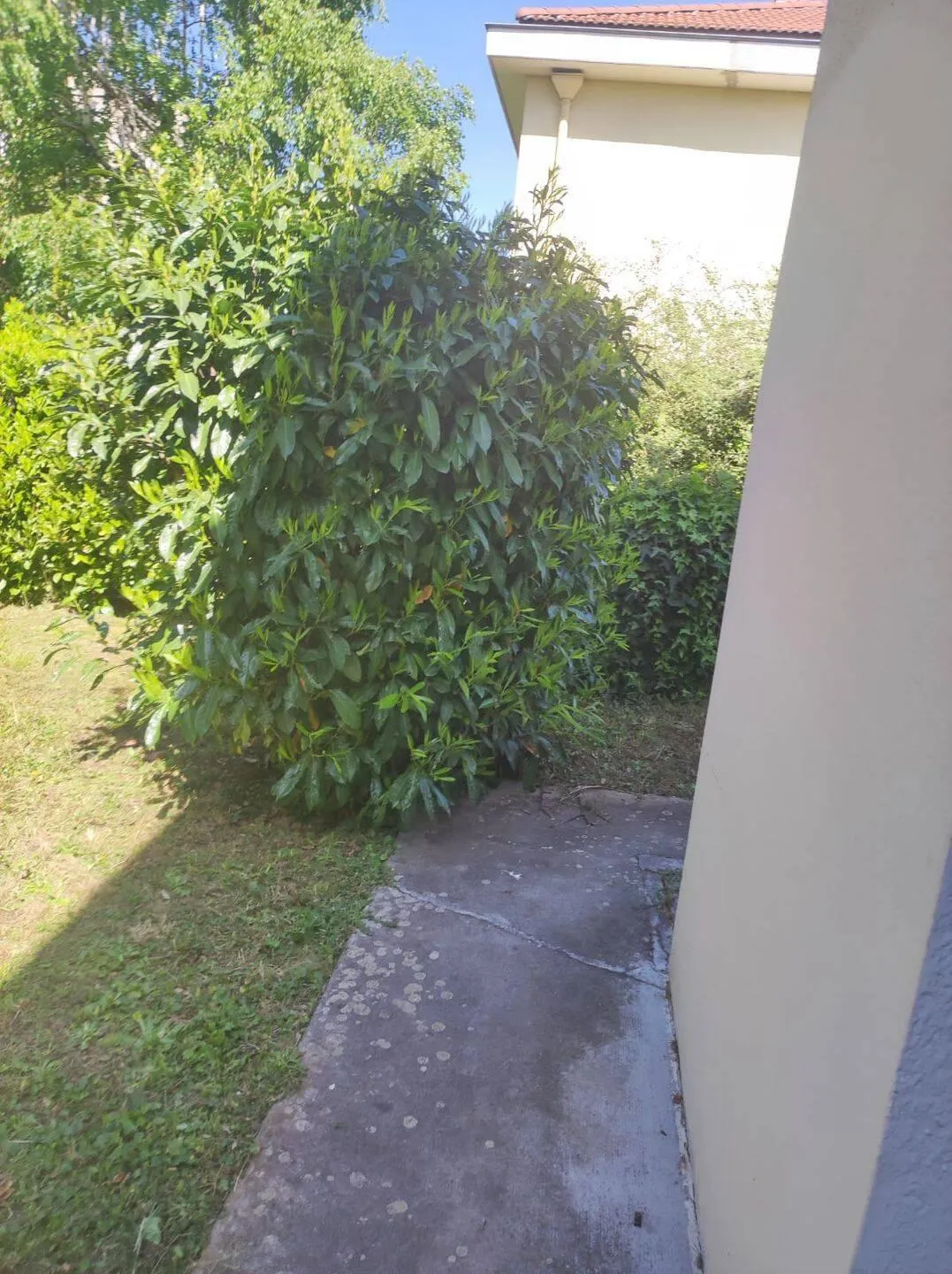 Location Lyon Chambre 69fc50b5ee4f