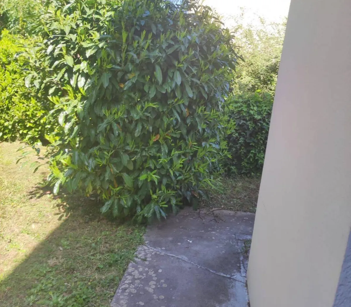 Location Lyon Chambre 69fc50b5ee4f