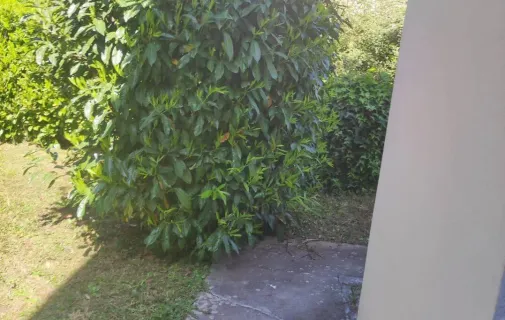 Location Lyon Chambre 69fc50b5ee4f