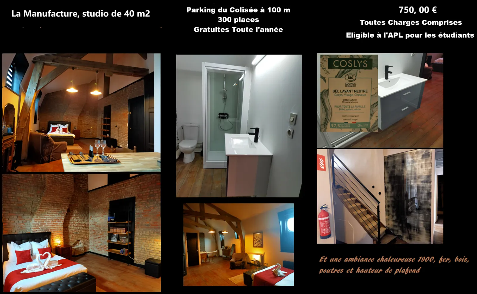 Location Roubaix Appartement 6a019d293239