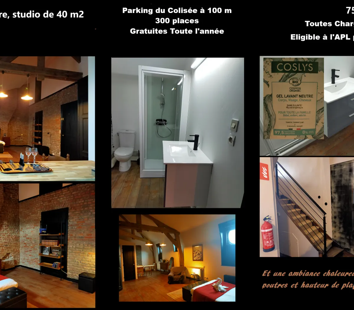 Location Roubaix Appartement 6a019d293239