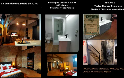 Location Roubaix Appartement 6a019d293239