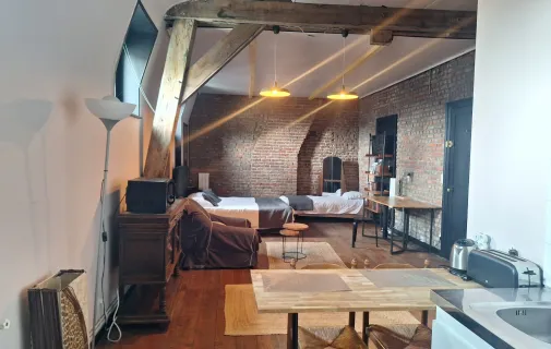 Location Roubaix Appartement 6a019d293239