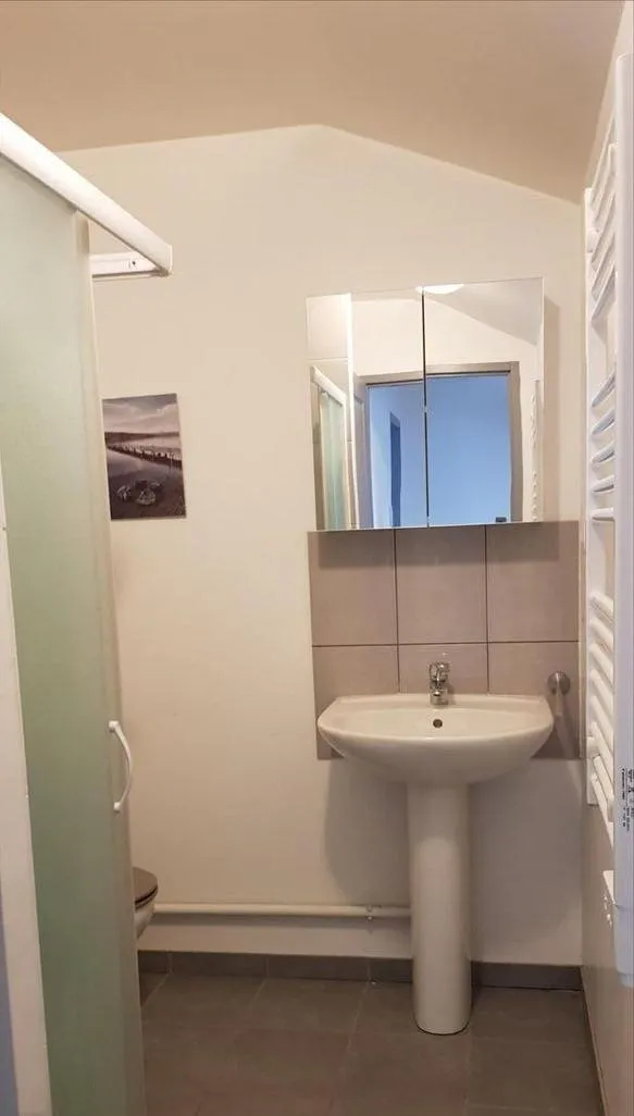 Location Nancy Appartement 6a01dcb2abde