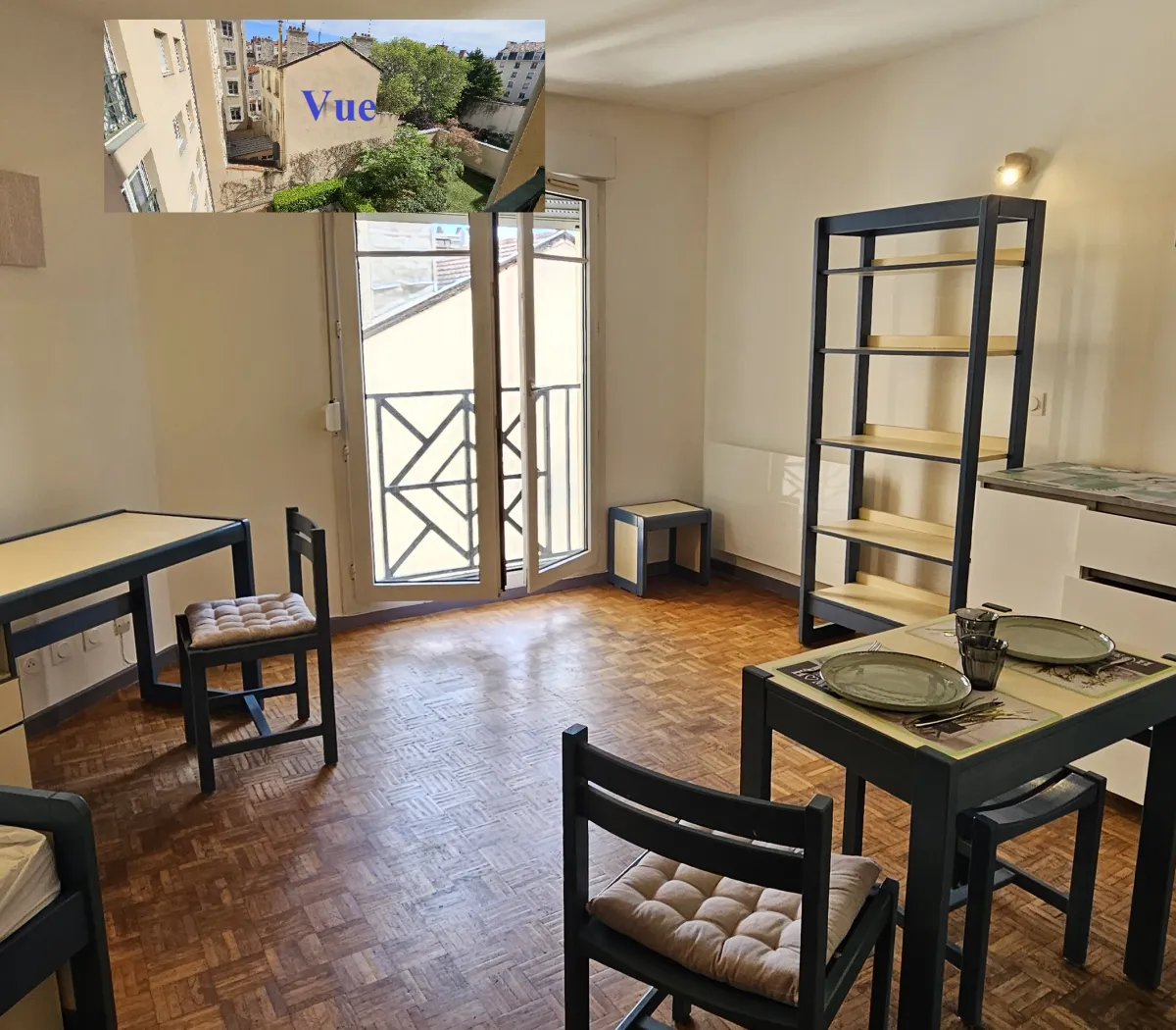 Location Lyon Appartement 6a01f39e7296