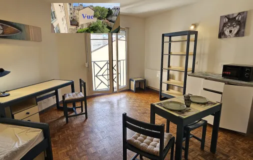Location Lyon Appartement 6a01f39e7296