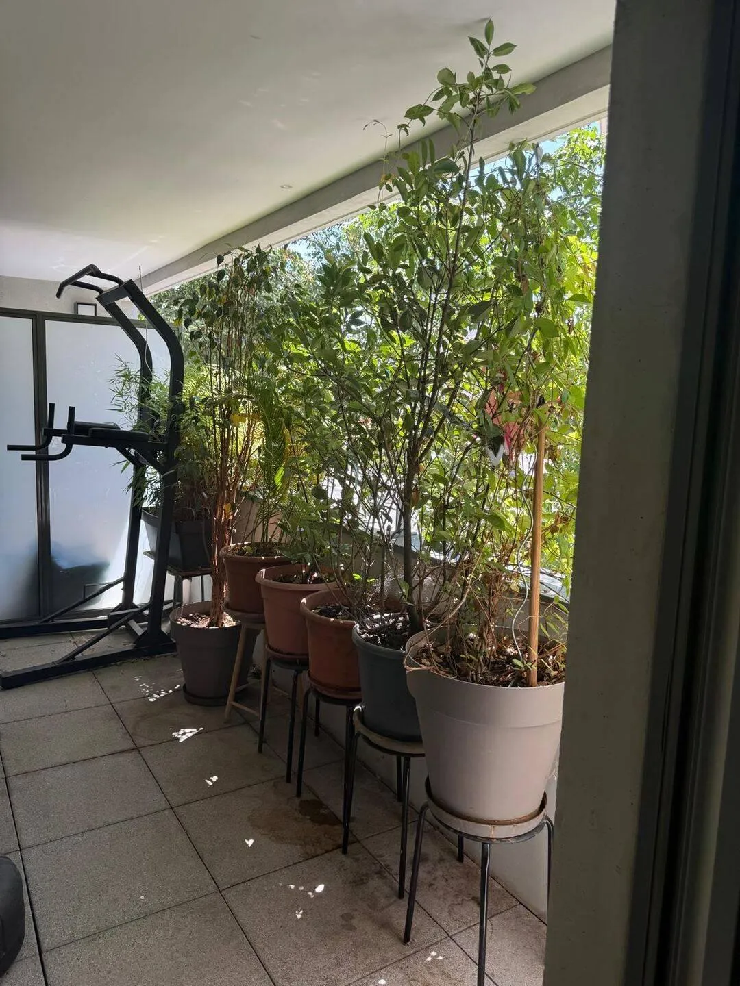 Location Lyon Appartement 6a045fb0e4b5