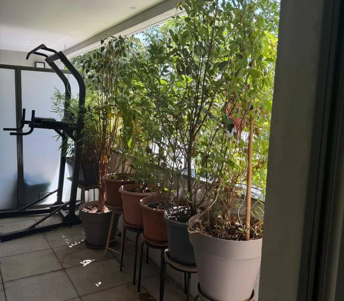 Location Lyon Appartement 6a045fb0e4b5