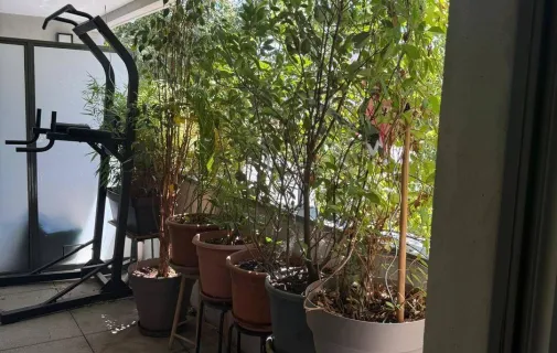 Location Lyon Appartement 6a045fb0e4b5