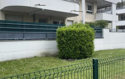 Location Strasbourg Appartement 6a058e9ab7cd