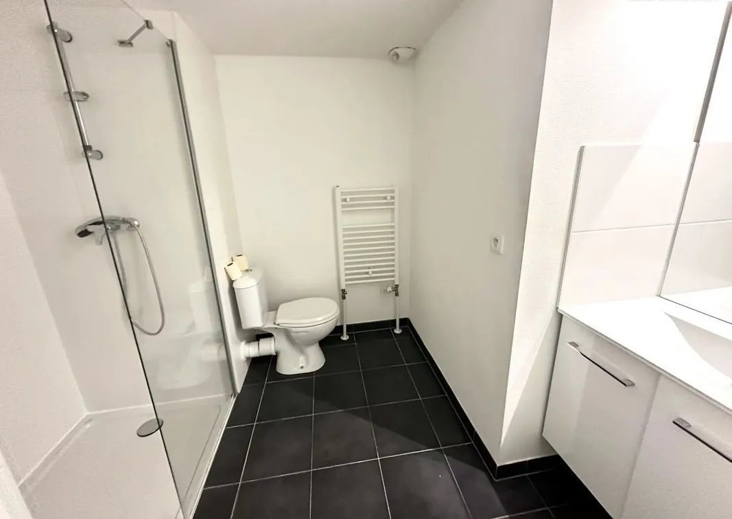 Location Strasbourg Appartement 6a099caac4c0