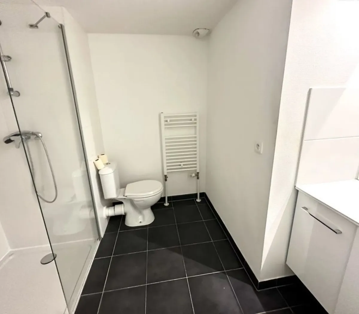 Location Strasbourg Appartement 6a099caac4c0