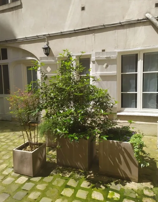 Location Paris Appartement 6a0b14b1d1ff