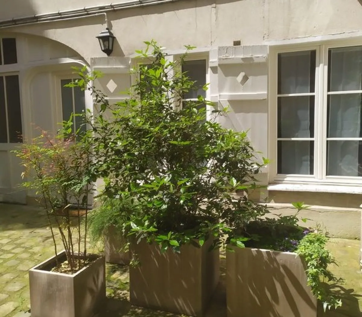 Location Paris Appartement 6a0b14b1d1ff
