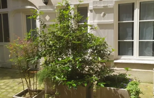 Location Paris Appartement 6a0b14b1d1ff