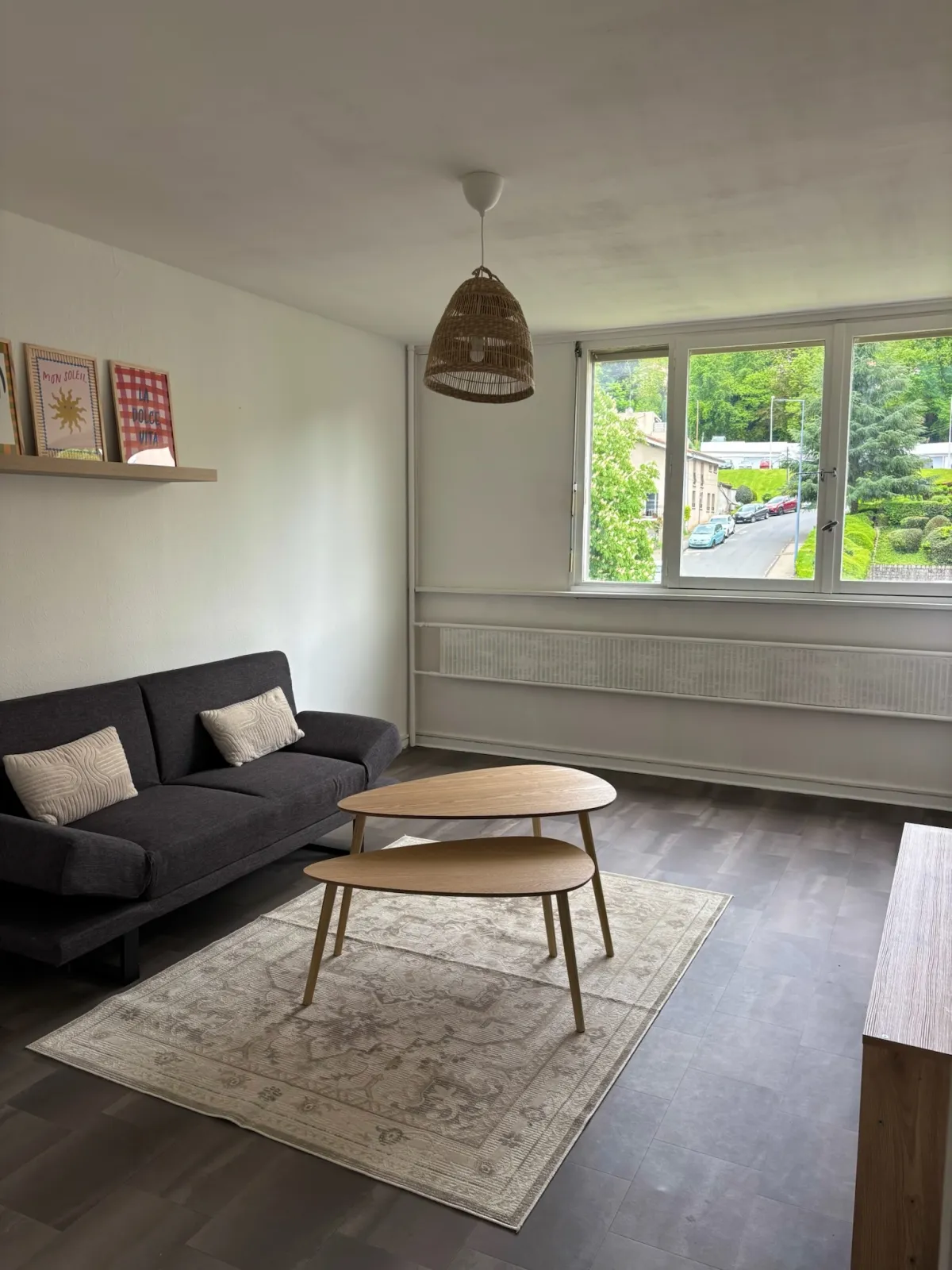 Location Saint-Étienne Appartement 6a0c58de0cae