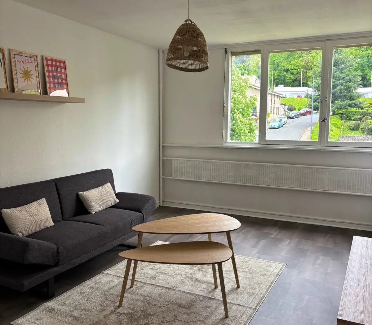 Location Saint-Étienne Appartement 6a0c58de0cae