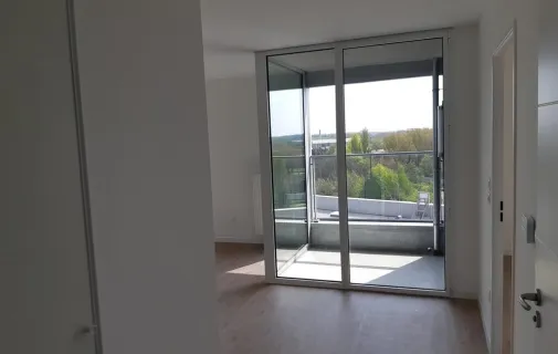 Location Lille Appartement 6a0c921ca70b
