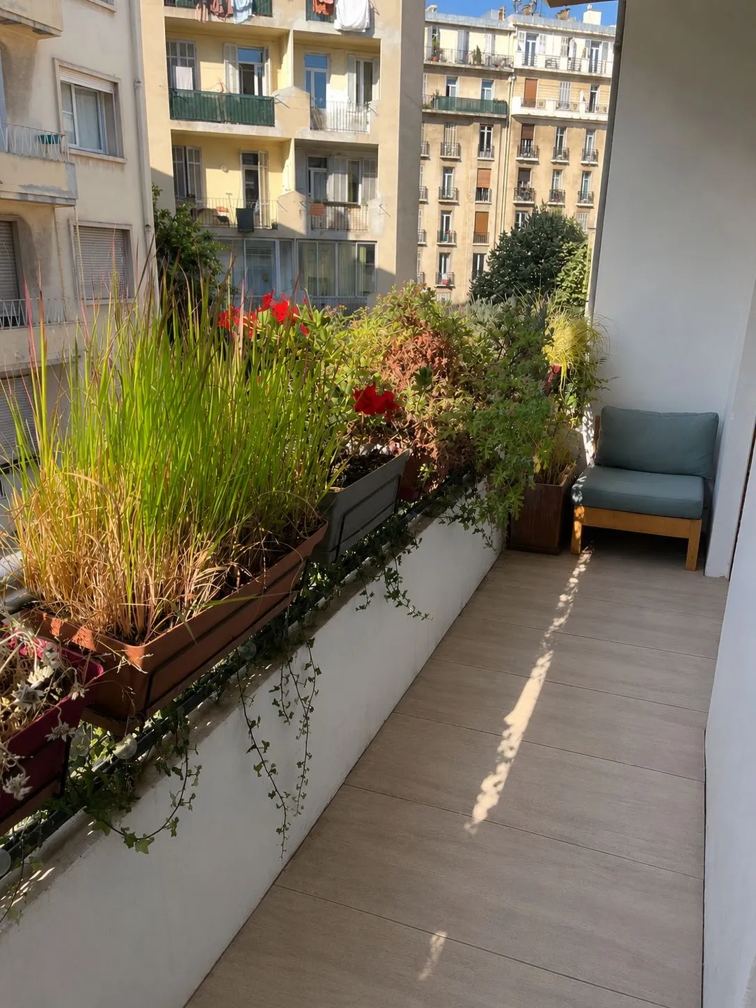 Location Marseille Appartement 6a1023a64164
