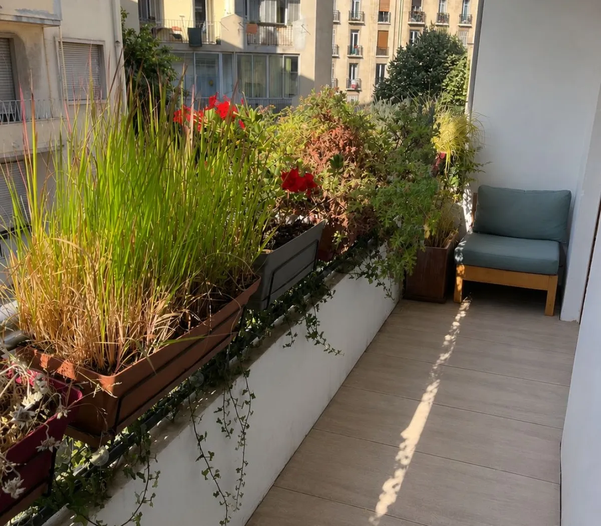Location Marseille Appartement 6a1023a64164