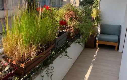Location Marseille Appartement 6a1023a64164