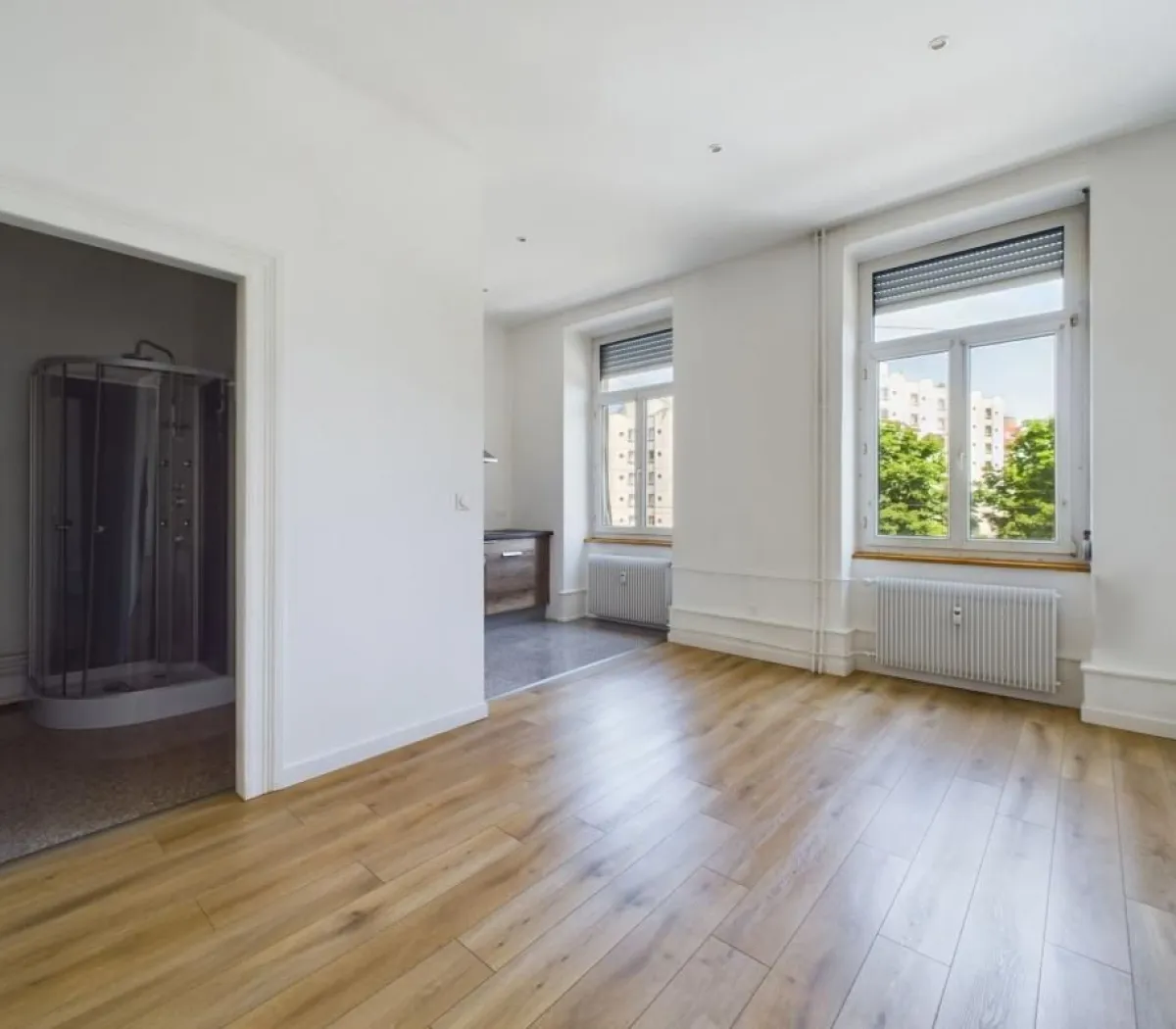 Location Strasbourg Appartement 6a14099113e9
