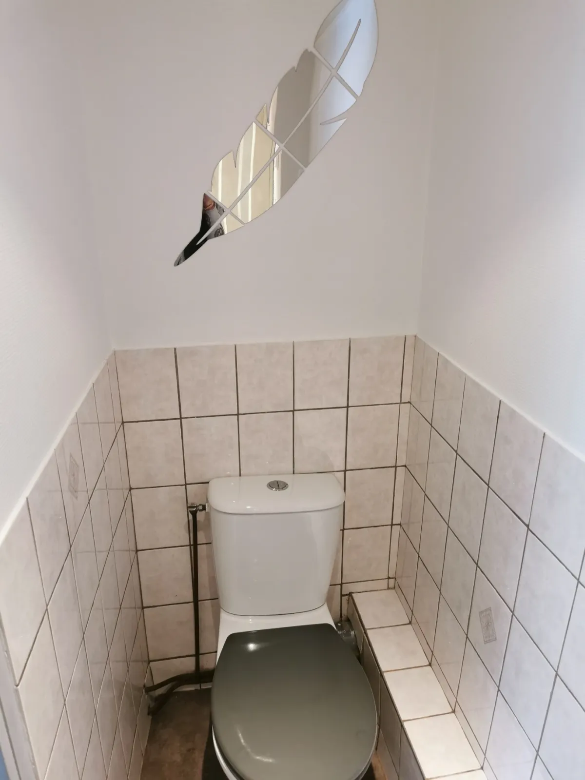 Location Nancy Appartement 6a196549494e