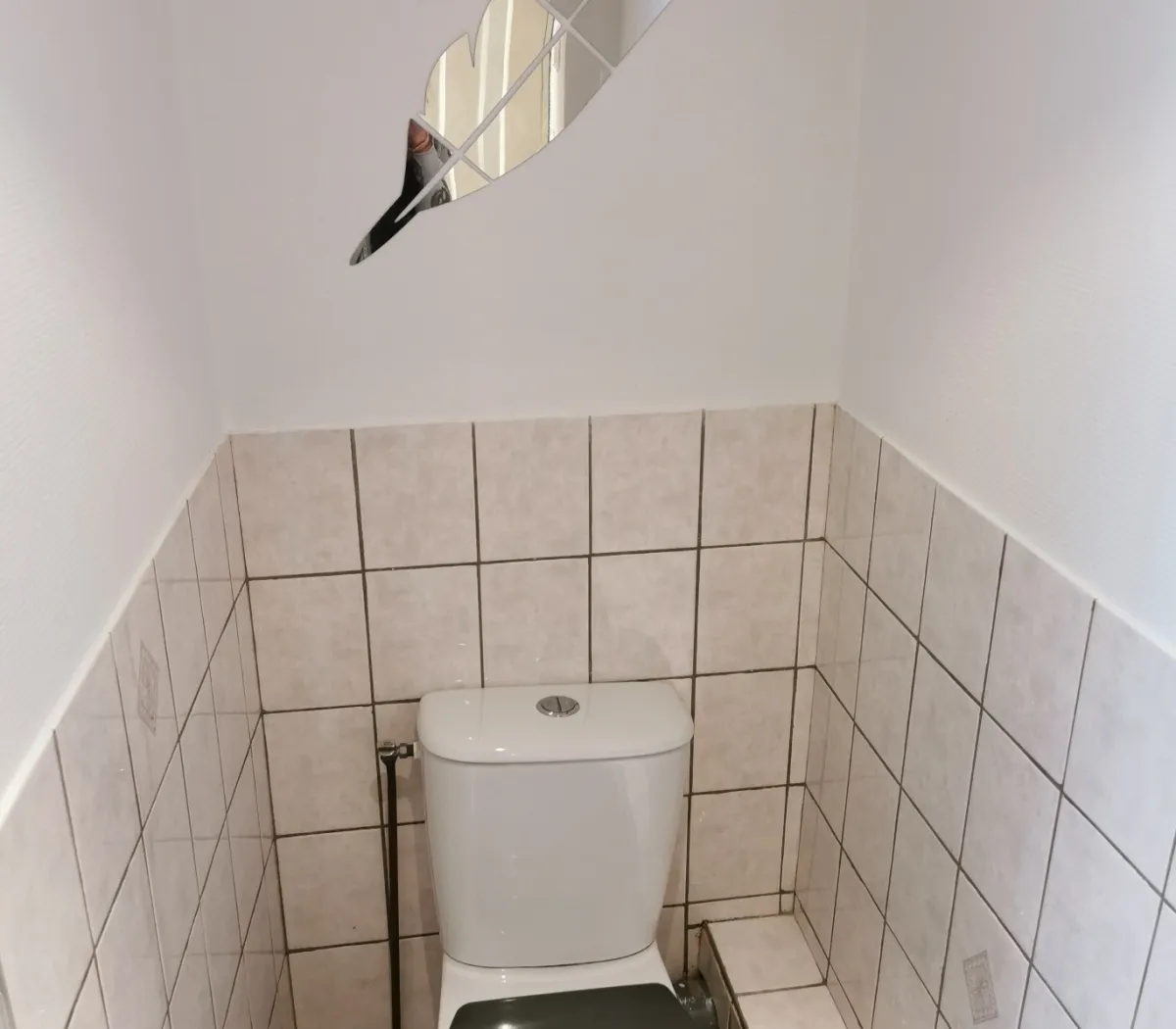 Location Nancy Appartement 6a196549494e