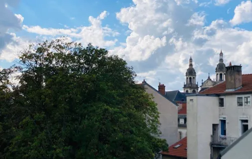 Location Nancy Appartement 6a1cd9a40433