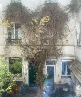 Location Paris Appartement 6a1d4b2828f3