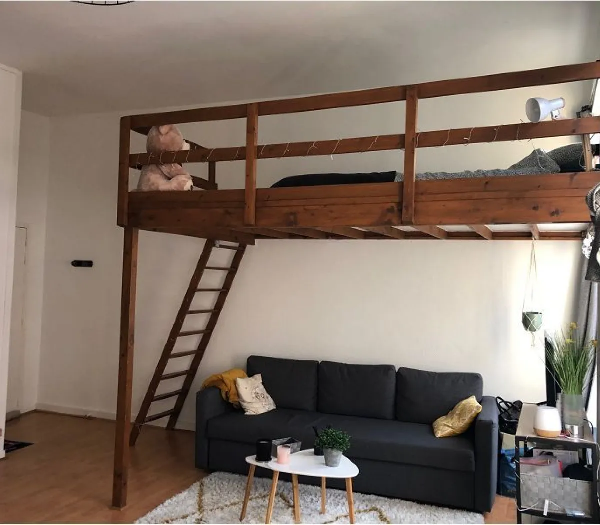 Location Lille Appartement 6a1d7bcf2996