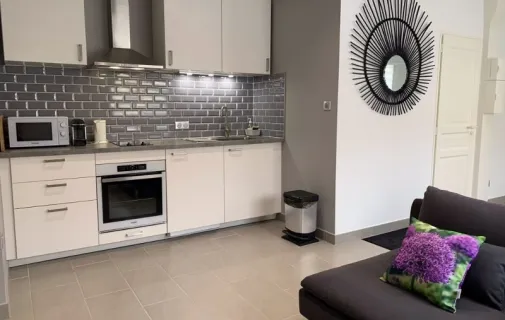 Location Toulouse Appartement 6a1ee8ed5c00