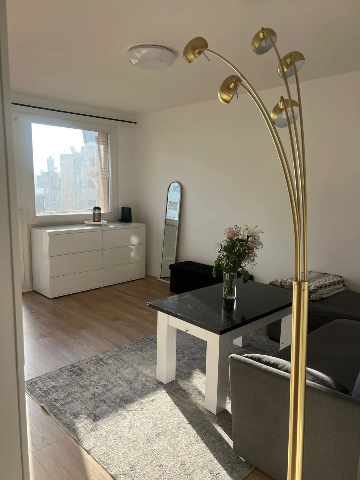 Location Villeurbanne Appartement 6a201e347e83