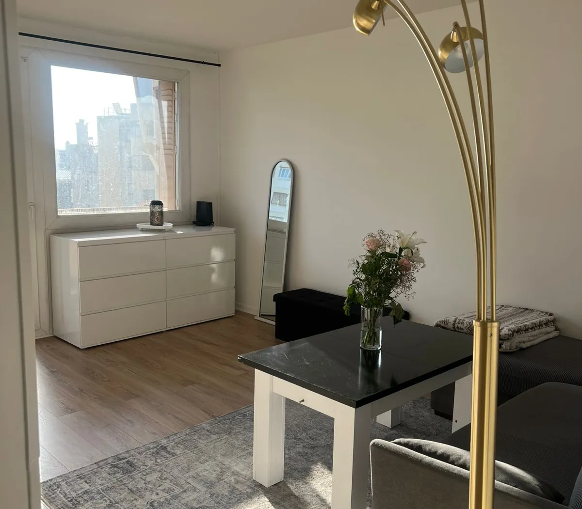 Location Villeurbanne Appartement 6a201e347e83