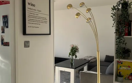 Location Villeurbanne Appartement 6a201e347e83