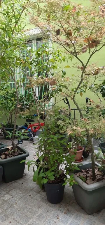 Location Paris Appartement 6a219d69f349