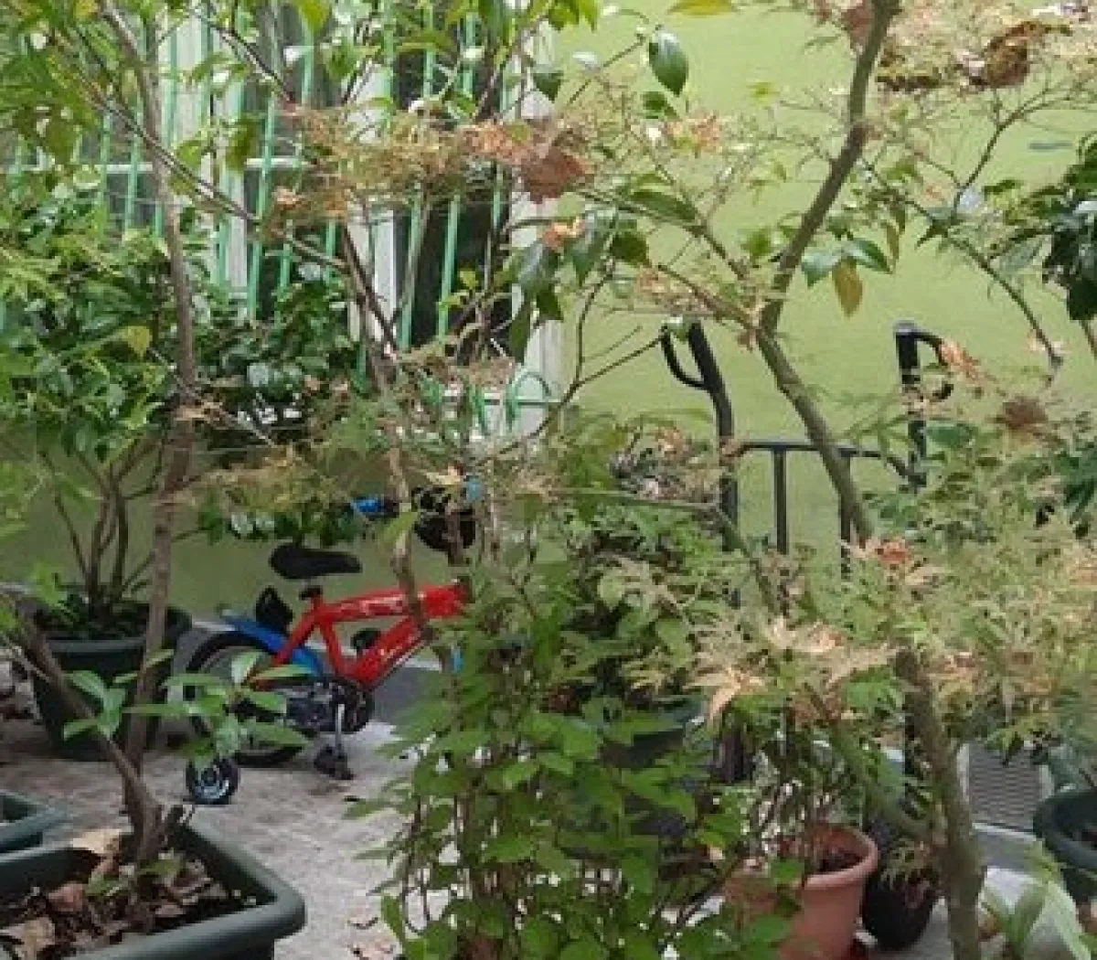 Location Paris Appartement 6a219d69f349