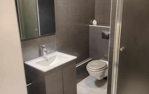 Location Metz Appartement 6a22846195ea