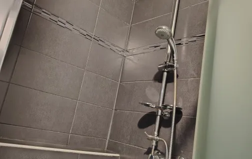 Location Metz Appartement 6a22846195ea