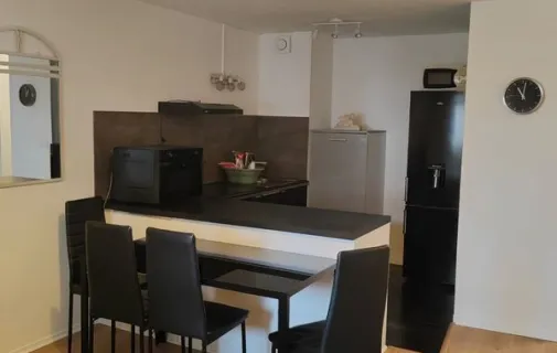 Location Strasbourg Appartement 6a22981a0381