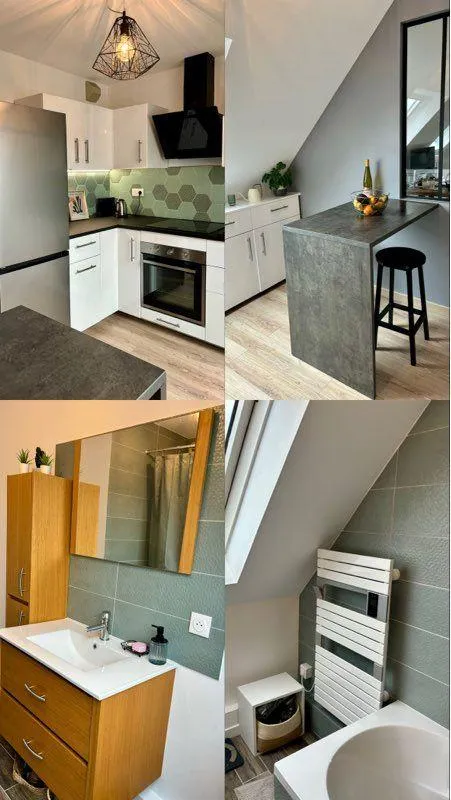 Location Strasbourg Appartement 6a22cd8e9479