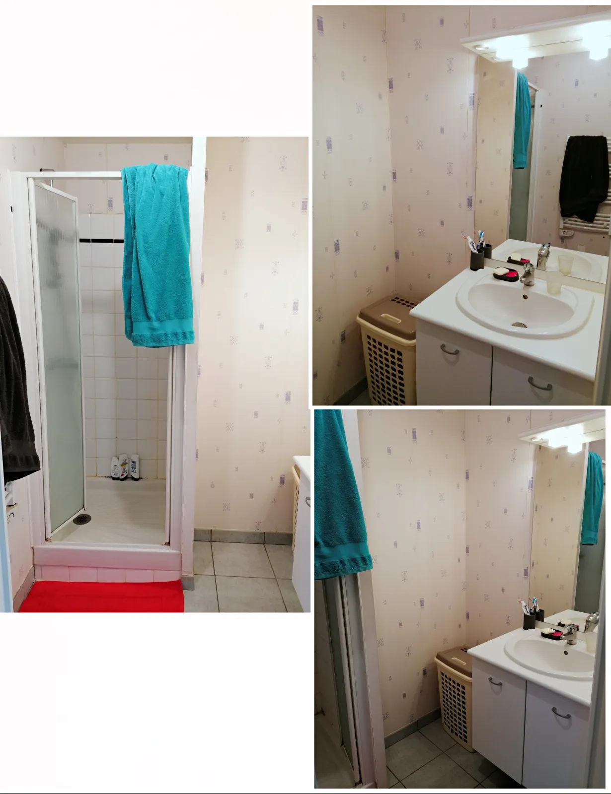 Location Cesson-Sévigné Appartement 6a2454ff42e8
