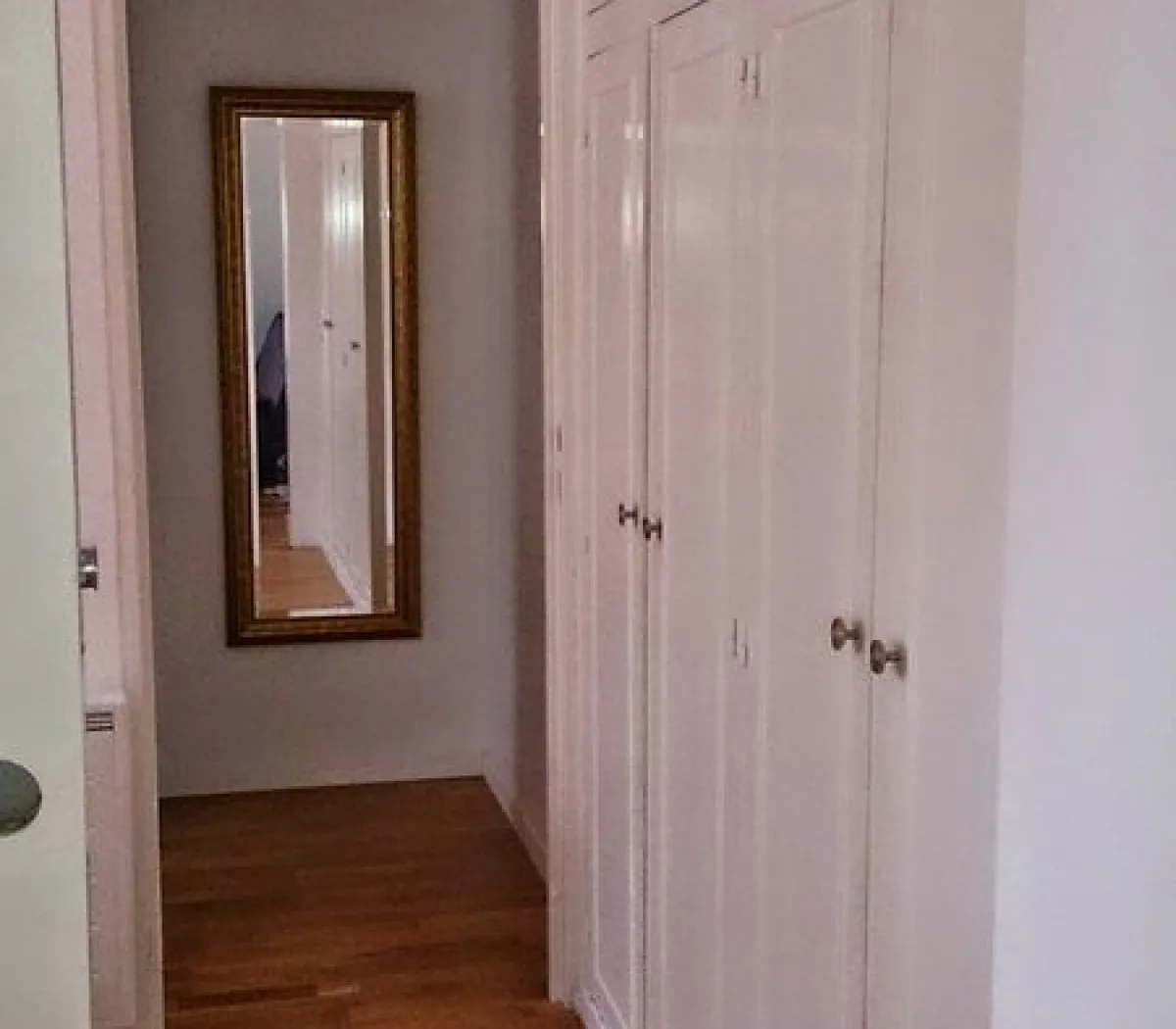 Location Montpellier Appartement 6a259cf64034