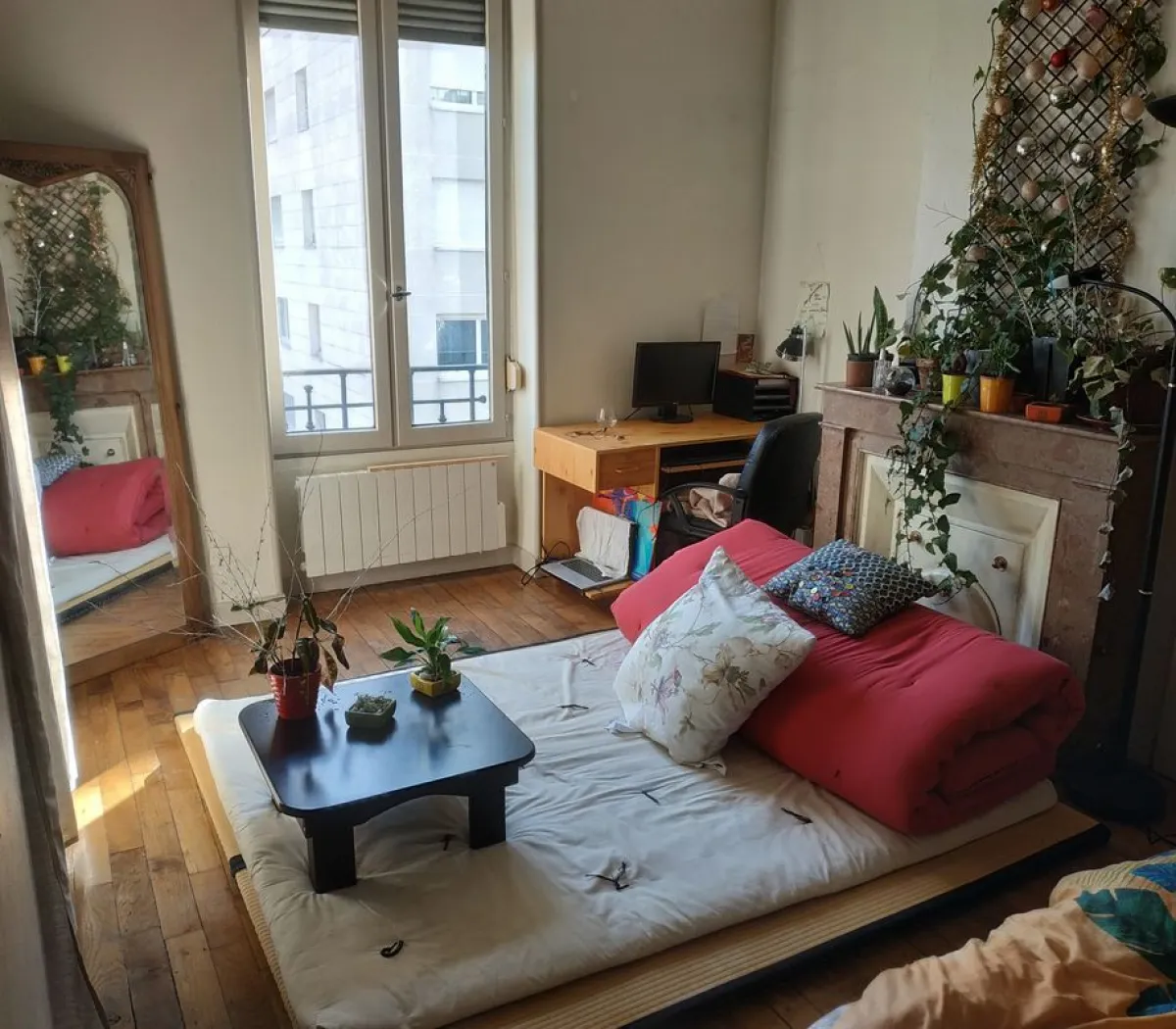 Location Villeurbanne Appartement 6a25c4e157cf